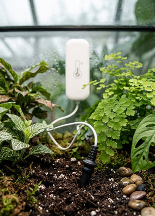 Sensor Tuya branco com cabo no terrário, plantas e sonda preta